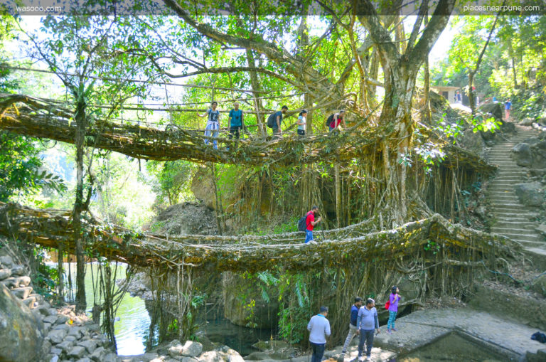 double decker living root bridge Meghalaya